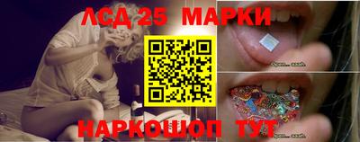 молекула духа Кингисепп