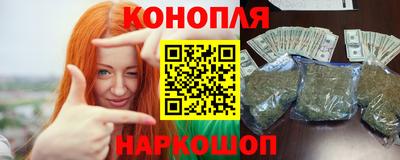 молекула духа Кингисепп