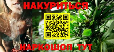 молекула духа Кингисепп